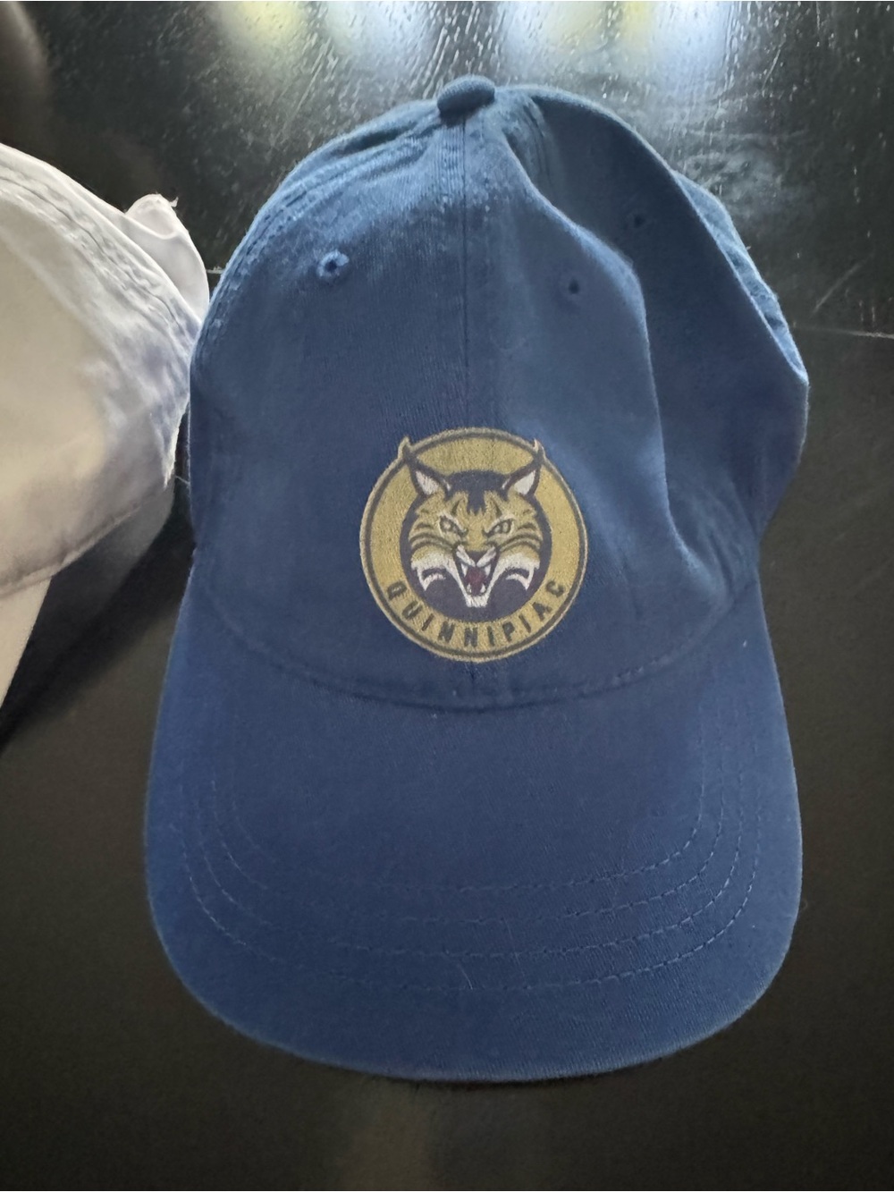 Quinnipiac Blue Baseball Cap with Bobcat Logo